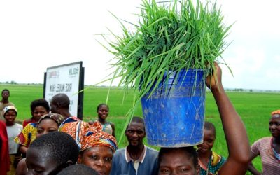 How to Make the Most of 100 Dollars in Nigeria: Tips and Opportunities