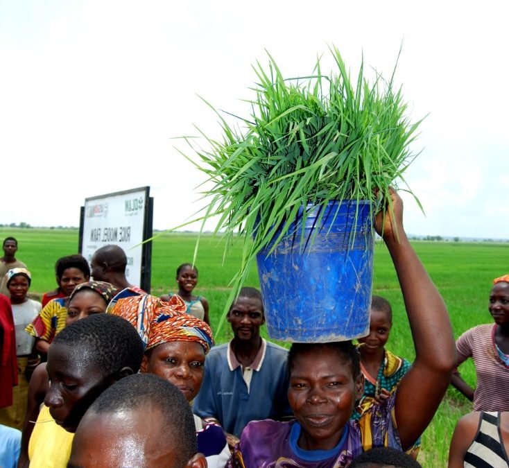 How to Make the Most of 100 Dollars in Nigeria: Tips and Opportunities