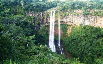 Exploring the Growth and Opportunities of Mauritius with a Focus on 2300 Area Code