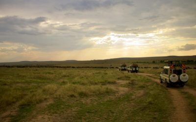 Explore the Best 4×4 Vehicle Rental Options in Kenya for Your Adventure