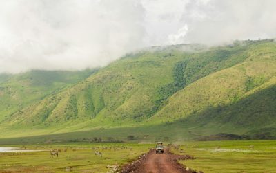Explore Top Options for 4×4 Vehicle Rentals in Tanzania for Your Safari Adventure