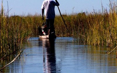 Discover Luxury Accommodation Options in Botswana’s Okavango Delta