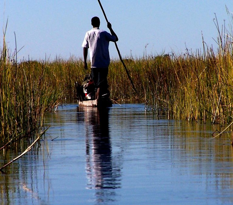 Discover Luxury Accommodation Options in Botswana’s Okavango Delta