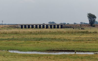 Discover the Best Accommodation Options in Chobe National Park, Botswana