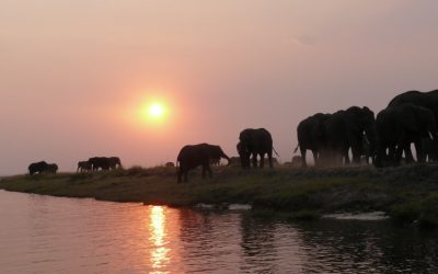 Comfortable and affordable accommodation options in Grootfontein, Namibia