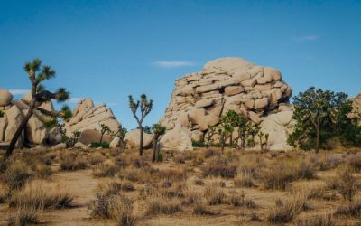 Exploring the Majestic Wilderness of Ahaggar National Park in Algeria