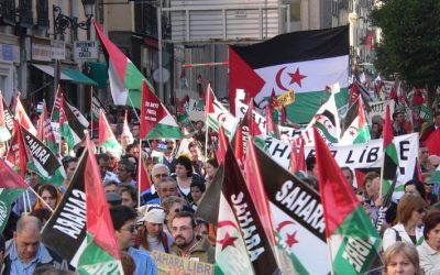 Algeria and Morocco: A Historical Perspective on Regional Relations and Diplomatic Challenges