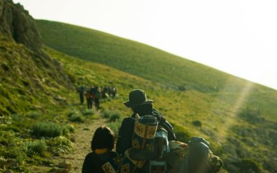 Exploring the Vast Terrain and Regional Diversity of Algeria’s Area
