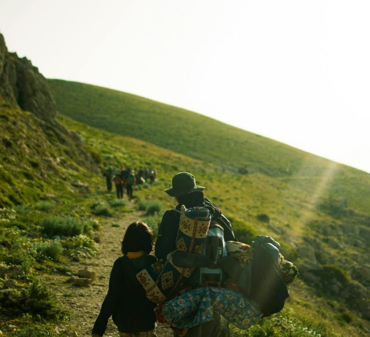 Exploring the Vast Terrain and Regional Diversity of Algeria’s Area
