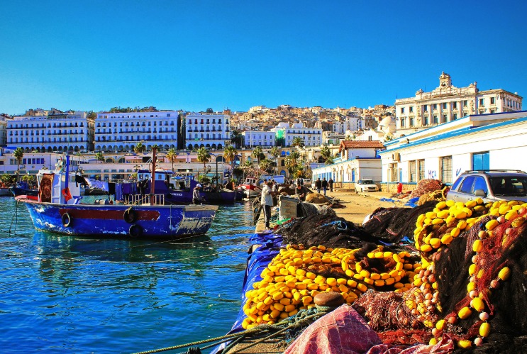 Establishing Stronger Diplomatic Ties: The Role of the Algeria Consulate Worldwide