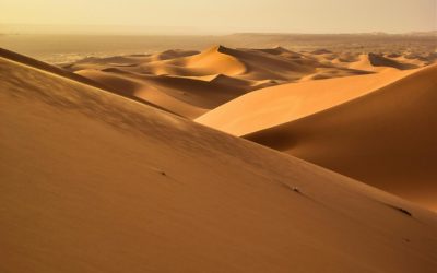 Algeria: The Largest Country in Africa and Its Strategic Role on the Continent