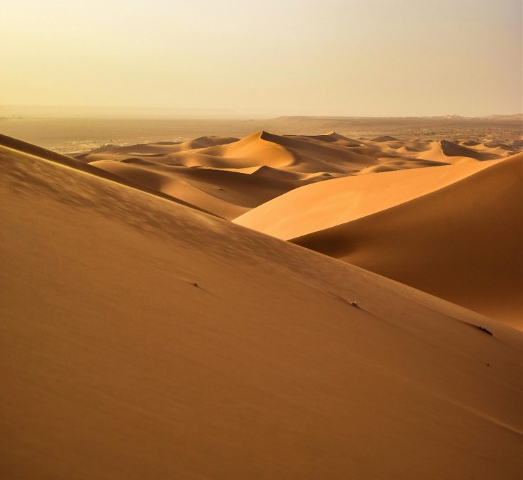 Algeria: The Largest Country in Africa and Its Strategic Role on the Continent