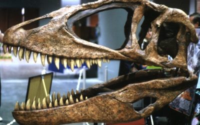 Algeria’s Famous Landmarks and Cultural Heritage Highlights