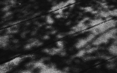 Algeria’s Rich Cinematic Heritage: A Journey Through Film and Culture