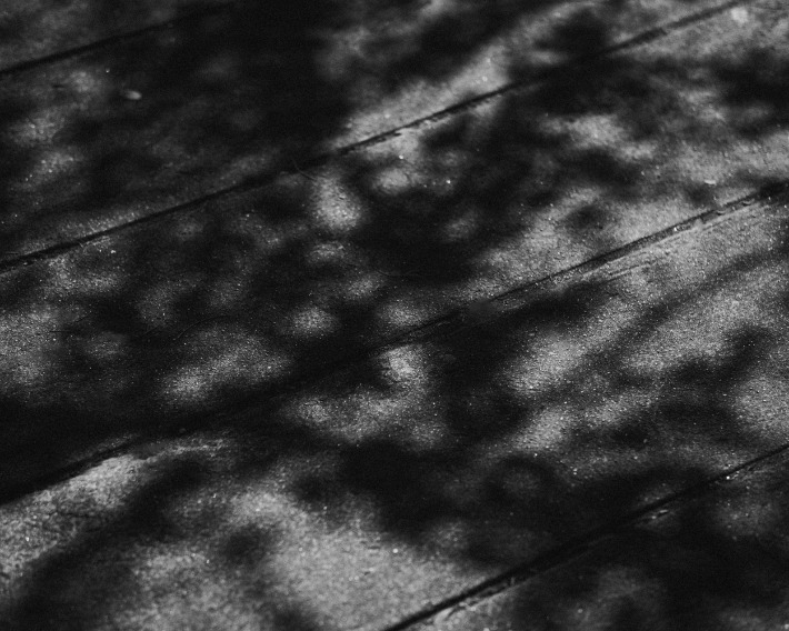 Algeria’s Rich Cinematic Heritage: A Journey Through Film and Culture