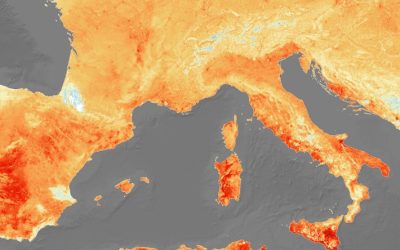 Detailed Algeria Map of Africa: Exploring Geographic and Regional Features