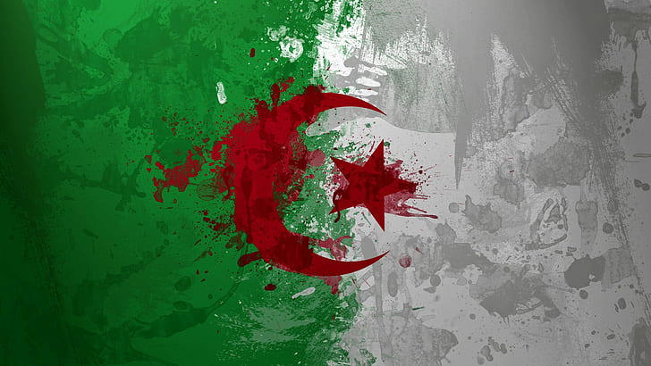 algeria_official_language_(26).jpg