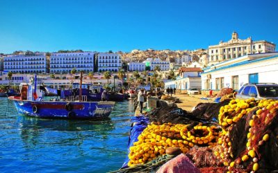 Algeria’s Population Growth and Demographic Trends in 2024