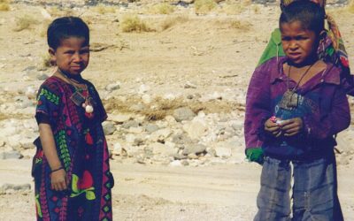 Exploring the Population Density Dynamics of Algeria