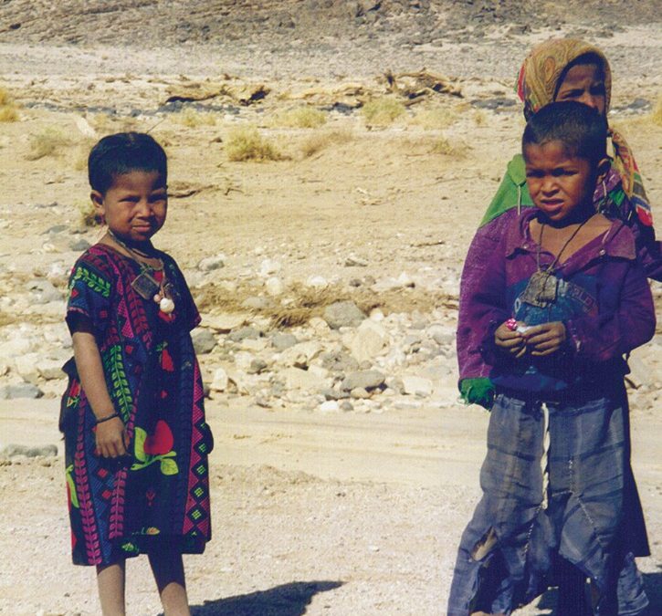 Exploring the Population Density Dynamics of Algeria