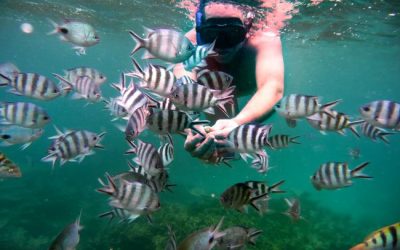 Discover Unbeatable All-Inclusive Deals in Mauritius for Your Perfect Getaway