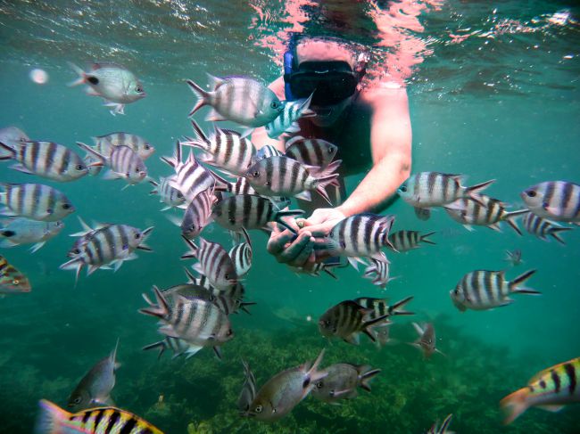 Discover Unbeatable All-Inclusive Deals in Mauritius for Your Perfect Getaway