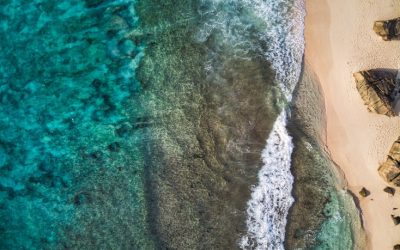 Discover the Ultimate Relaxation with All-Inclusive Packages in Seychelles