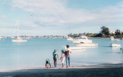 Amber Mauritius: Discover the Island’s Hidden Gem of Natural Beauty and Cultural Treasures