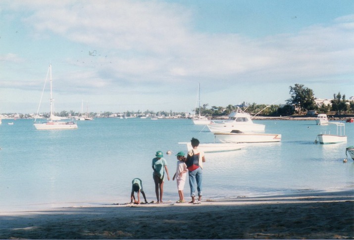 Amber Mauritius: Discover the Island’s Hidden Gem of Natural Beauty and Cultural Treasures