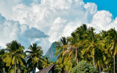 Experience Luxurious Comfort at Anantara Iko Mauritius Resort & Villas