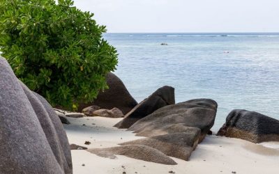 Anse Source d’Argent: The Most Famous Beach in Seychelles