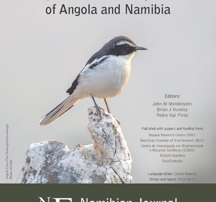 Arebbusch Travel Lodge: A Premier Accommodation Choice in Namibia