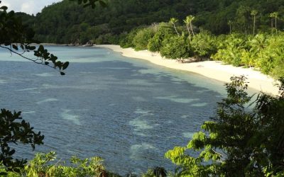 Discover the Hidden Paradise of Astove Island in Seychelles