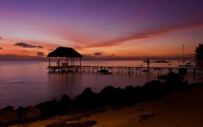 Discover Luxury and Serenity at Top Beach Hotels in Mauritius