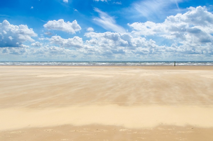 Discover the Stunning Beaches of Kenya: A Tropical Paradise