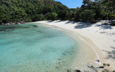 Discover the Ultimate Paradise: The Best Beach in Seychelles