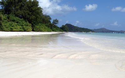Discover the Wonders of Bird Island in Seychelles: A Paradise for Nature Enthusiasts