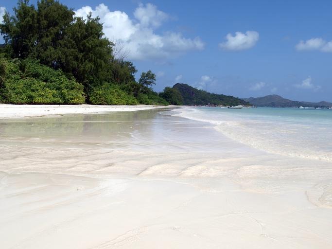 Discover the Wonders of Bird Island in Seychelles: A Paradise for Nature Enthusiasts