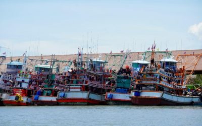 Botswana Flag: Symbols of National Pride and Heritage