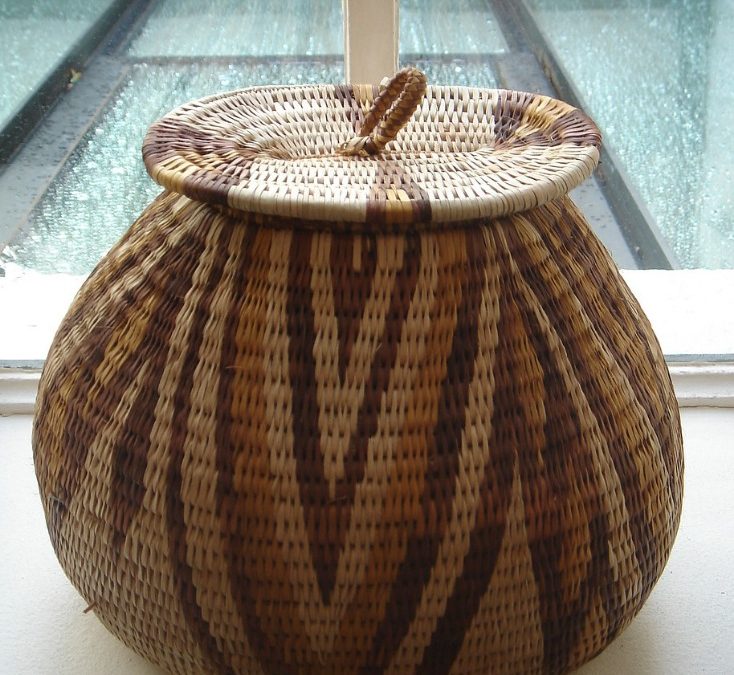 Botswana government unveils new economic development initiatives to boost national growth