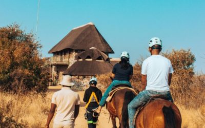 Experience the Ultimate Adventure with a Botswana Horse Safari