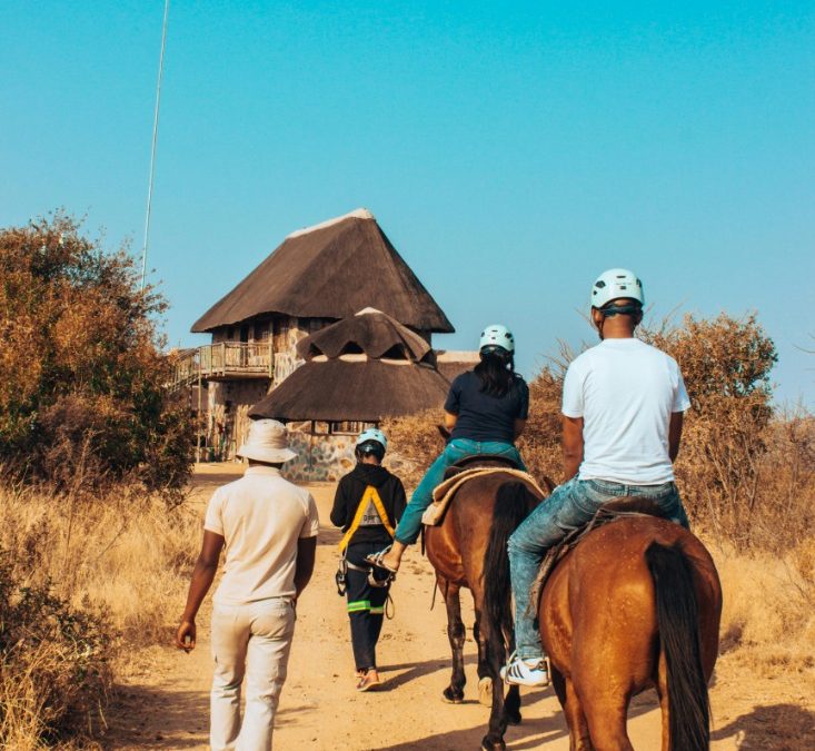 Experience the Ultimate Adventure with a Botswana Horse Safari