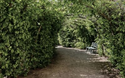 Affordable and Modern: Exploring Botswana’s Growing Housing Market