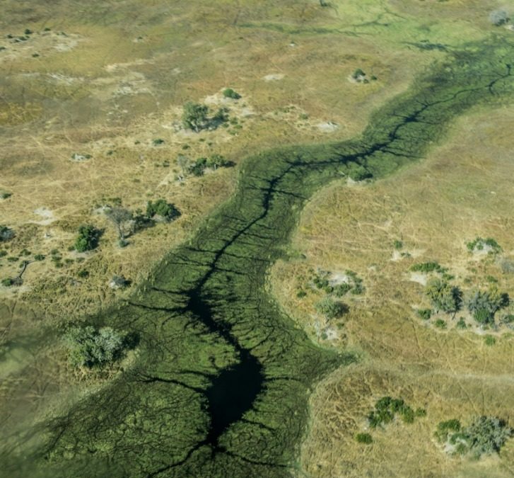 Exploring the Natural Beauty and Wildlife of Botswana’s Okavango Delta