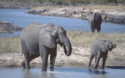 Exploring the Rich Religious Heritage of Botswana
