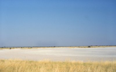 Exploring the Unique Ecosystem and Tourism Opportunities of Botswana’s Salt Pan