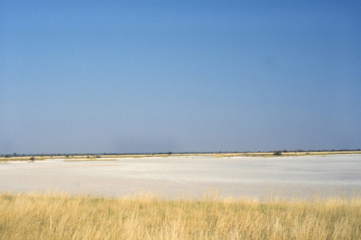 Exploring the Unique Ecosystem and Tourism Opportunities of Botswana’s Salt Pan