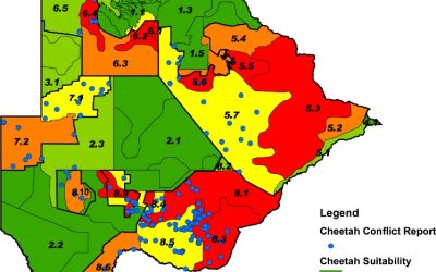 Monthly Temperature Trends and Climate Insights in Botswana