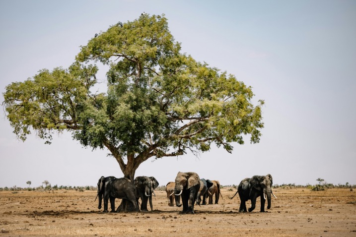 botswana_tours_(16).jpeg