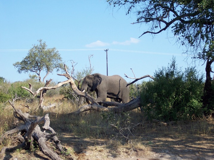 botswana_travel_advisory_(13).jpeg